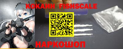шишки Дубна