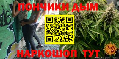шишки Дубна