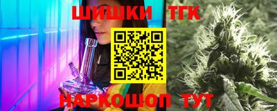шишки Дубна