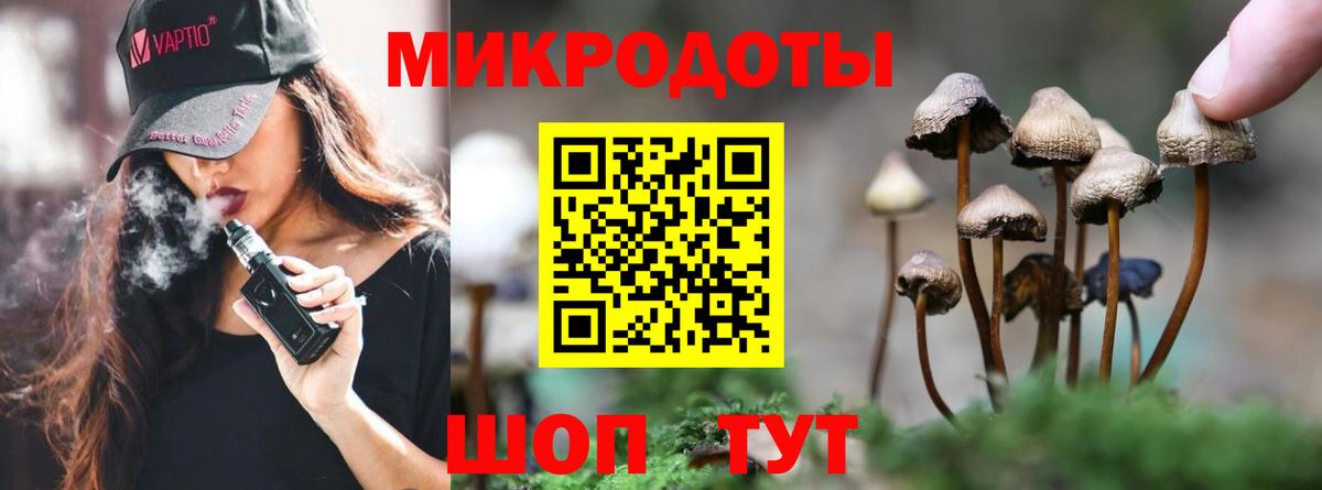 Галлюциногенные грибы прущие грибы  Вход с VPN  Серов  Галлюциногенные грибы прущие грибы 